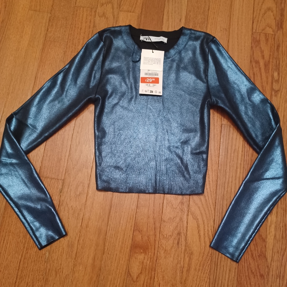 Zara Shimmery Blue Long-Sleeve Crop Top